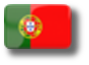 Portuguese Flag